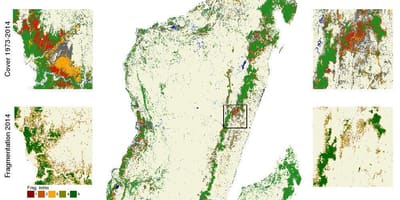 Ramani ya Madagascar ukataji miti