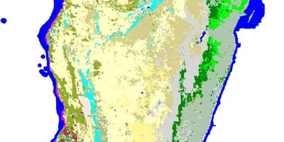 Ramani ya Madagascar uoto wa asili